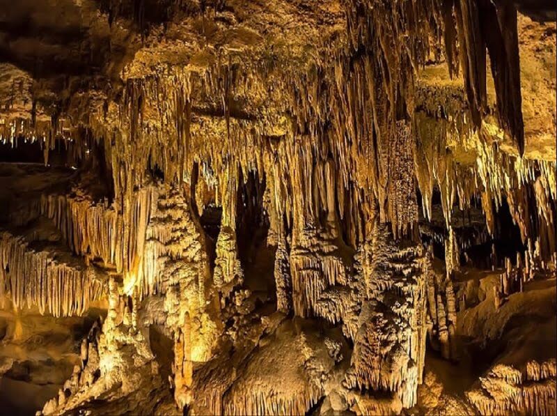 Seize the vibrant spirit of Hoa Binh Travel